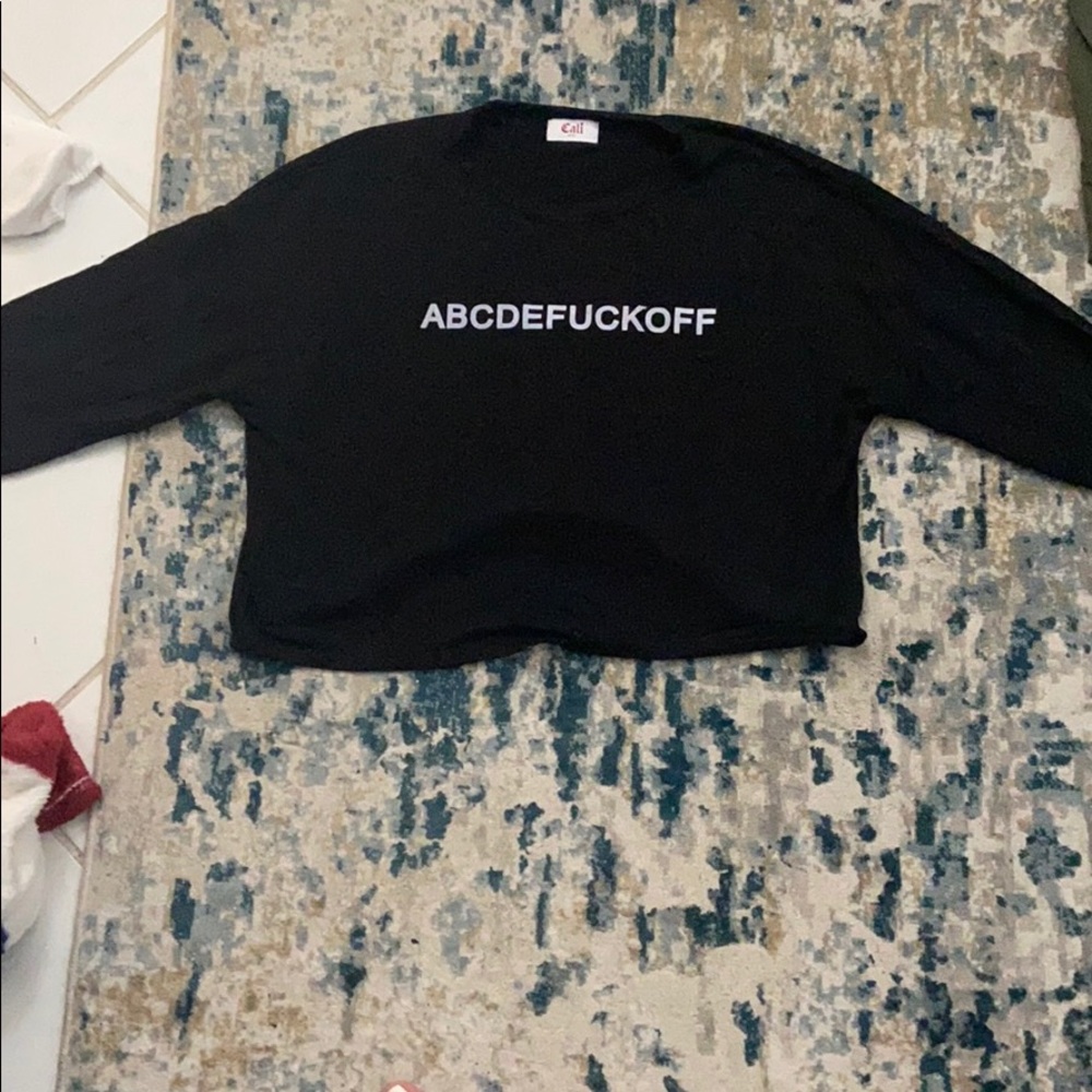 Long sleeve crop